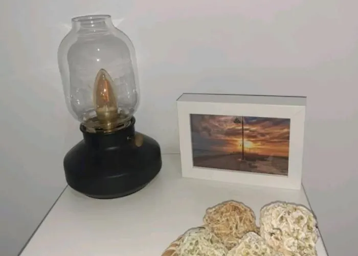 Casa Parque Genoves Junto A La Playa Lägenhet